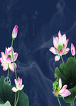 荷韵