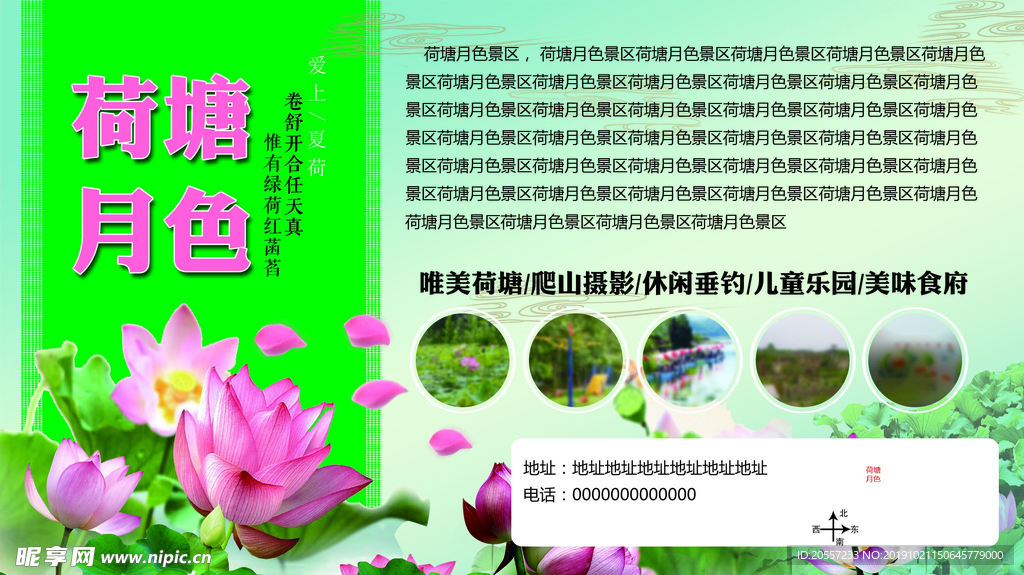 荷塘月色