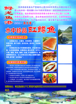 鱼类简介彩页