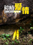 医院海报   欧亚男科医院