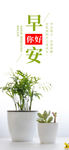 小清新早安