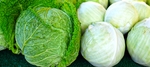 蔬菜