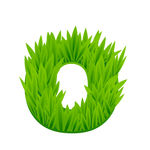 矢量草地字母