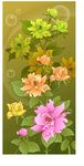 花卉