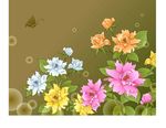 花卉
