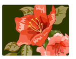 花卉