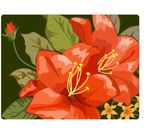 花卉