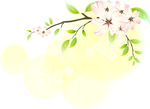 花卉