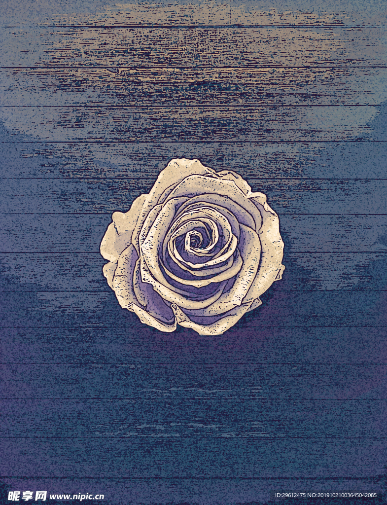 插画