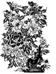 牡丹花