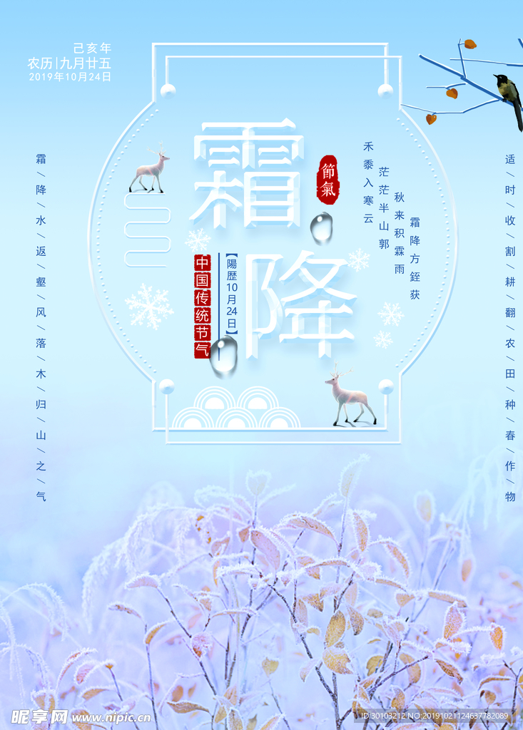 霜降节气海报