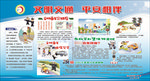 小学校园交通安全