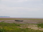 鄱阳湖畔花海渔船