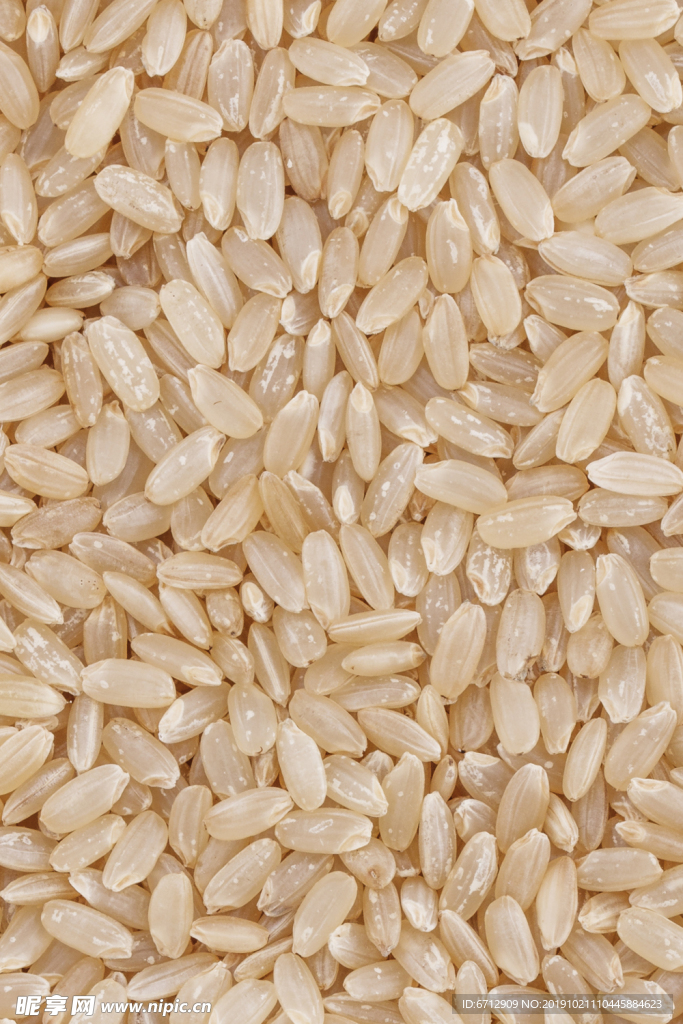 糙米 超高清 五谷杂粮 白糯米