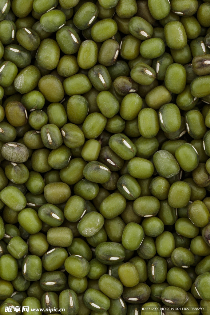 绿豆 超高清 五谷杂粮 白糯米