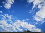 天空贴图