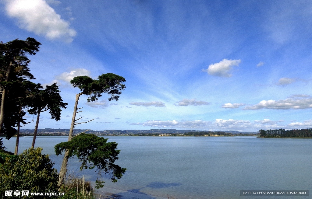 奥克兰海滨自然风景