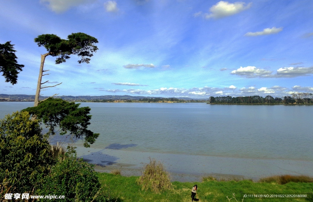 奥克兰海滨自然风景