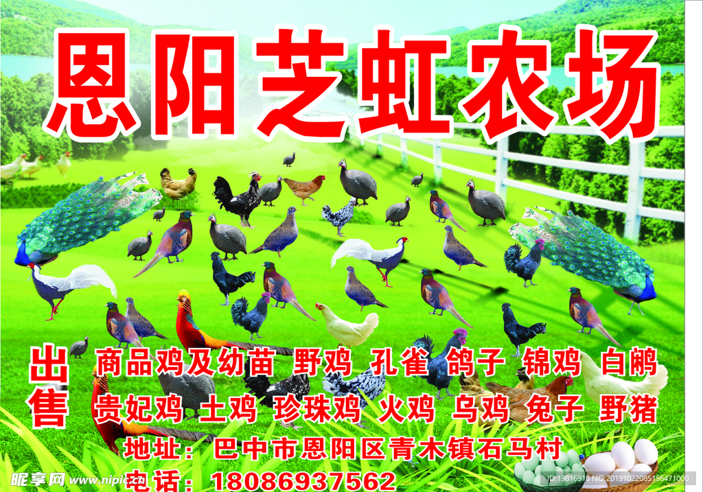 养殖基地海报