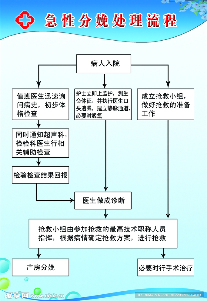 急性分娩处理流程