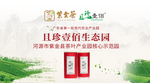 紫金茶