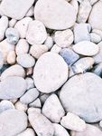 鹅卵石 自然 景观 石头 装饰