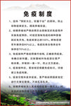 日吾美盖制度牌