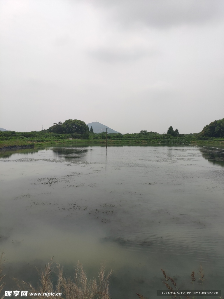 阳山风景