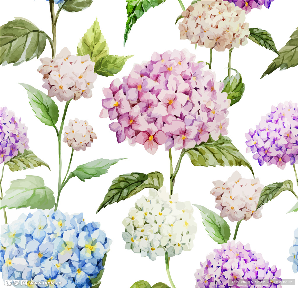 绣球花矢量循环素材