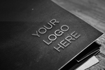 logo样机