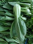 青菜
