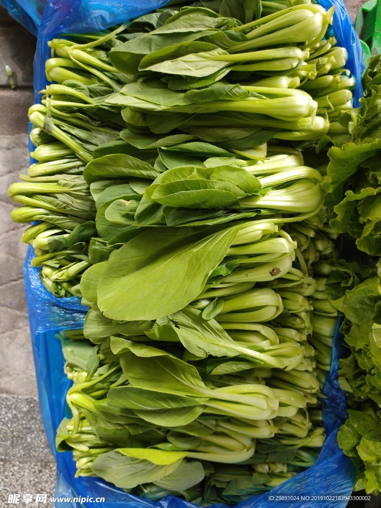 青菜