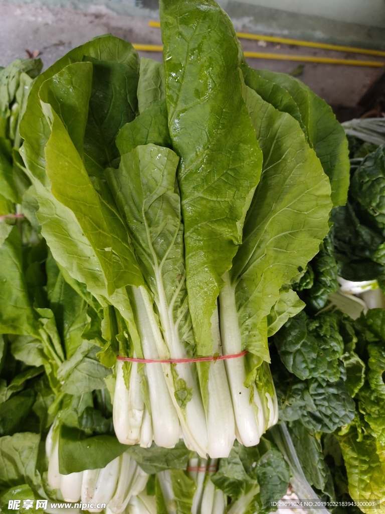 青菜