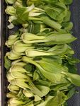 青菜