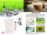 大米图片