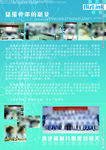 校招海报