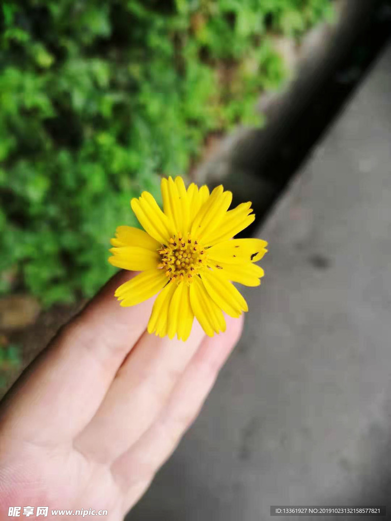 小花