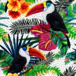 热带水彩植物插画树叶