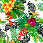 热带水彩植物插画树叶
