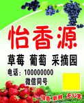 葡萄草莓