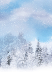 雪树林