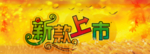 新款上市
