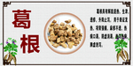 葛根