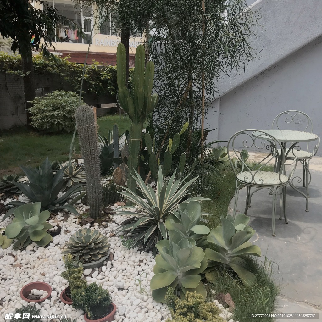 ins风景照