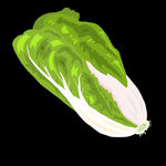 大白菜