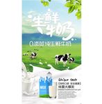 生鲜牛奶海报设计PSD模板下载