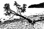 水墨画