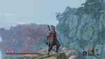 枫叶 只狼