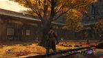 枫叶  只狼
