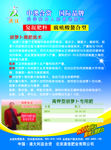 胡萝卜化肥